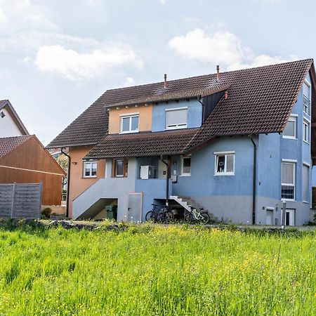 Appartement Ribeiro Tesouro à Friesenheim  Extérieur photo